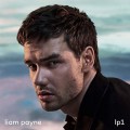 LPPayne Liam / lp1 / Vinyl