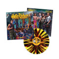 LPCoffin Feeder / Big Trouble / Vinyl