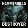 CDHammerhead / Destroyer