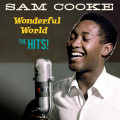 LPCooke Sam / Wonderful World-the Hits / Coloured / Vinyl