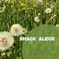 CDSmack Aleck / Unavoidable