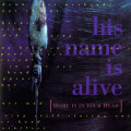 LPHis Name Is Alive / Home Is In Your Head / Vinyl