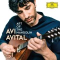 CDAvital Avi / Art of the Mandolin