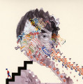 CDAnimal Collective / Painting With / Digisleeve