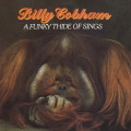 CDCobham Billy / Funky Thide Of Sings
