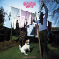 LPEveryone Says Hi / Funny Cos It's True / Vinyl