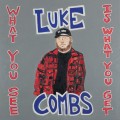 2LPCombs Luke / What You See is What You Get / Vinyl / 2LP
