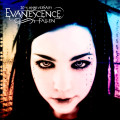 2CDEvanescence / Fallen / 2CD