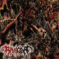 CDRavager / Storm Of Sin