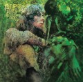 LPMayall John / Blues From Laurel Canyon / Vinyl