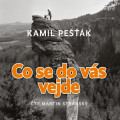 CDPek Kamil / Co se do vs vejde / Strnsk M. / MP3