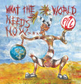 2LPPublic Image Limited / What The World Needs Now / Vinyl / 2LP