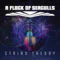 CDFlock Of Seagulls / String Theory