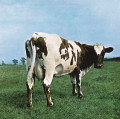 LP / Pink Floyd / Atom Heart Mother / Reedice / Vinyl