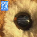 CDWombats / Oh! The Ocean