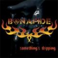 CDBonafide / Something's Dripping