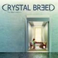 CDCrystal Breed / Place Unknown