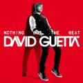 2CDGuetta David / Nothing But The Beat / Ultimate / 2CD