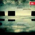 2CDBrahms Johannes / Complete Piano Trios / Smetanovo trio
