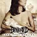 CDBenighted / Carnivore Sublime