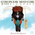 2CDBuck Chris & The Big Horns / Postcard From Capricorn / 2CD