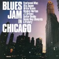 2LPFleetwood mac / Blues Jam In Chicago 1&2 / Vinyl / 2LP