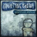 CDCounting Crows / Somewhere Under Wonderland / Digisleeve