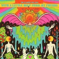 CDFlaming Lips / With A Little Help From My Fwends