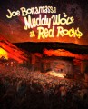 2DVDBonamassa Joe / Muddy Wolf At Red Rocks / 2DVD