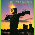 LPSonic Youth / Bad Moon Rising / Vinyl