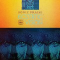 CDEcstatic Vision / Sonic Praise