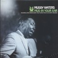LPWaters Muddy / Mud In Your Ear / Vinyl