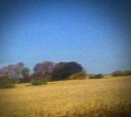 CDSun Kil Moon / Benji / Digipack