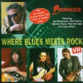 CDVarious / Where Blues Meets Rock VII