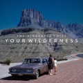 LPPineapple Thief / Your Wilderness / Vinyl