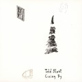 CDTold Slant / Going By
