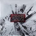 2LPSoord Bruce/Renkse Jonas / Wisdom Of Crowds / Vinyl / red / 2LP