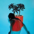 LPLocal Natives / Sunlith Youth / Vinyl