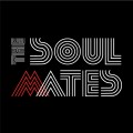 LPustr Dan & Vintrov Zuzana / Soulmates Tribute Project / Vinyl
