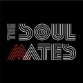 LPustr Dan & Vintrov Zuzana / Soulmates Tribute Project / Vinyl