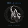 CDMission / Another Fall From Grace