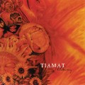 CDTiamat / Wildhoney