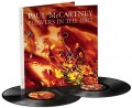 2LPMcCartney Paul / Flowers In The Dirt / Vinyl / 2LP