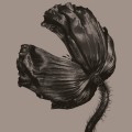 LPPet Shop Boys / Release / Vinyl