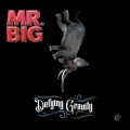 LP/CDMr.Big / Defying Gravity / Vinyl / Limited / LP+CD+DVD / T-Shirt / Box