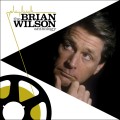 CDWilson Brian / Playbeck:Brian Wilson Anthology