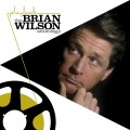 2LPWilson Brian / Playbeck:Brian Wilson Anthology / Vinyl / 2LP