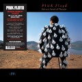 2LPPink Floyd / Delicate Sound of Thunder / Vinyl / 2LP