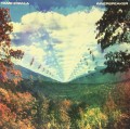 2LPTame Impala / Innerspeaker / Vinyl / 2LP