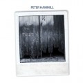 LPHammill Peter / From The Trees / Vinyl